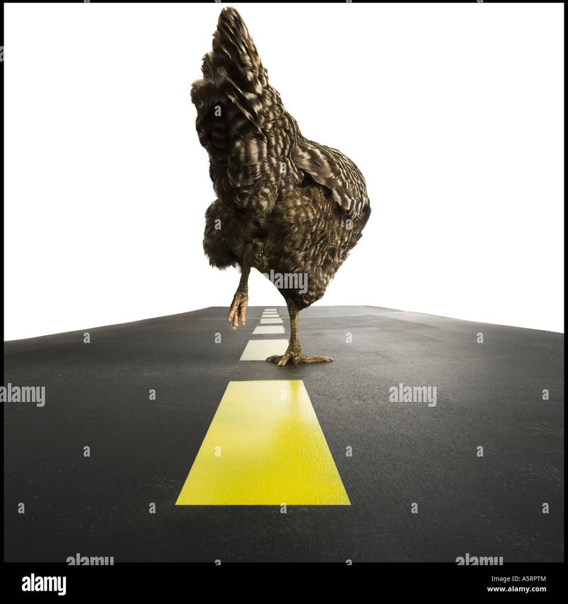 Descubre la Emoción de Jugar Chicken Road en España Online Oficialmente, chicken road oficial Descubre la Emoción de Jugar Chicken Road en España Online Oficialmente, chicken road oficial